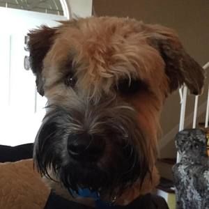 Meet your Posher, Sheri